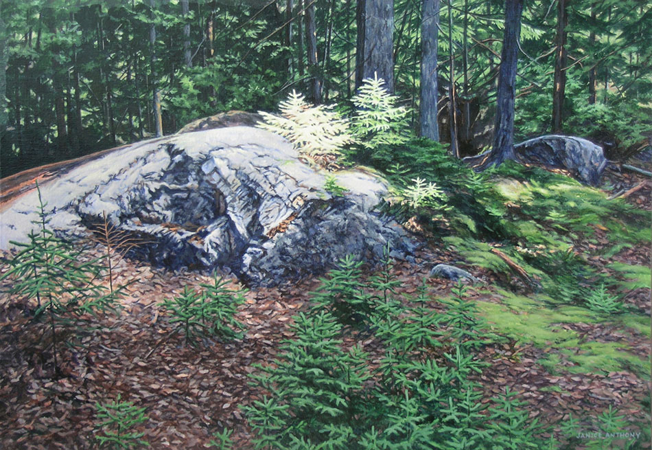 JANICE ANTHONY Forest Light, acrylic on linen, 14 x 22 inches