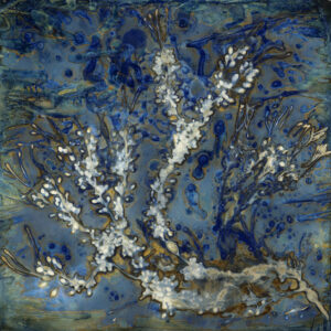 LISA TYSON ENNIS
Bladderwrack I
unique cyanotype on paper, museum glass
28 x 28 inches
SOLD