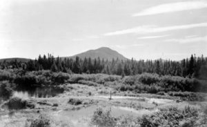 BERENICE ABBOTT
Cedar Mountain, c. 1966
vintage silver gelatin photograph, 8 x 13 inches
$1000