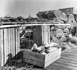 BERENICE ABBOTT
Duck Decoys and Lobster Traps, c. 1966
vintage silver gelatin photograph, 8 x 8 inches
$950