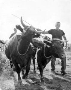BERENICE ABBOTT
Oxen Strength Contest, c. 1966
vintage silver gelatin photograph, 8 x 10 inches
$1200