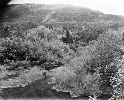 BERENICE ABBOTT Typical Northern Maine, c. 1966, vintage silver gelatin photograph, 8 x 10 inches