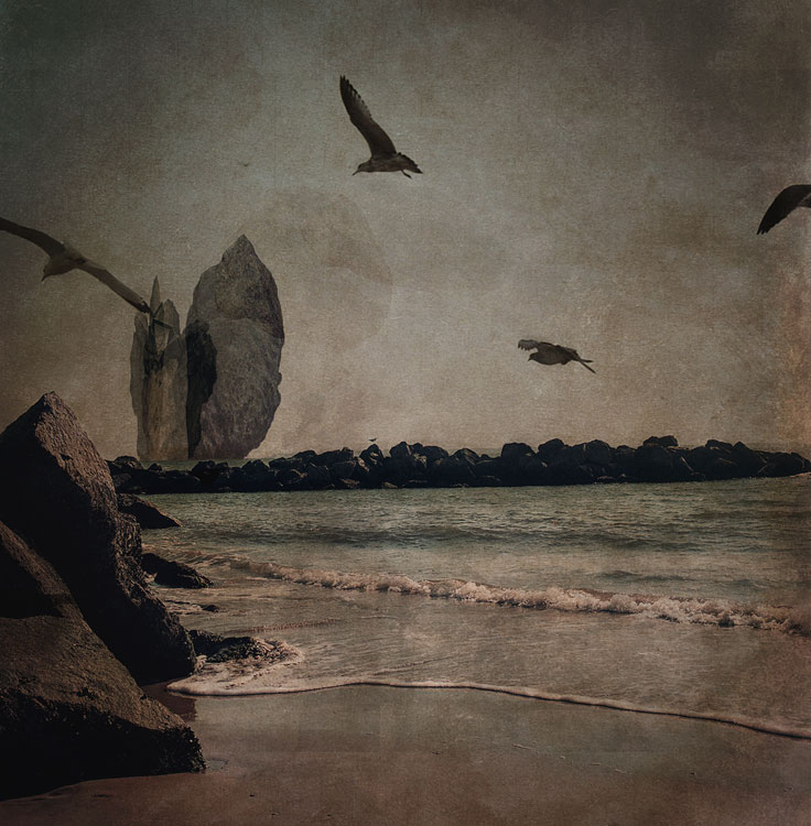 LILIAN DAY THORPE Teal Gulls, digital montage, 5 x 5 inches