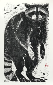 HOLLY MEADE
Coon
woodblock print, 22 x 12 inches
last 2 in edition of 20
$2000