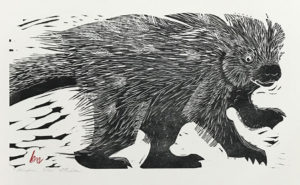 HOLLY MEADE
Porcupine
woodblock print, 12 x 22 inches
edition of 20
$1600