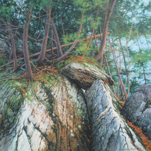 JANICE ANTHONY
Balancing Rock
acrylic on linen, 18 x 18
$3200