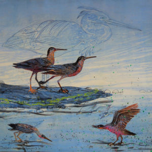 SUSAN AMONS
Little Blue Heron with Shorebirds III
monoprint, 20 x 20 inches
$1000