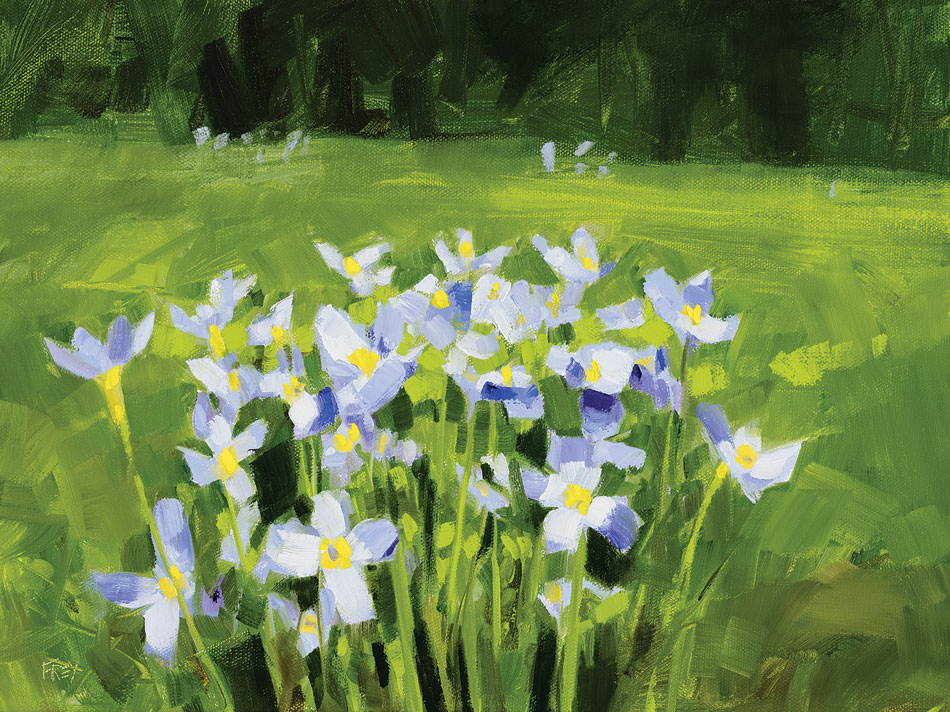PHILIP FREY Wild Violets oil on canvas, 12 x 16 inches