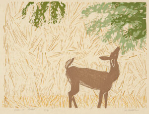 HOLLY MEADE
Deer in Field
woodblock print, 15 x 19 inches
last 2 in edition of 8
$1200
