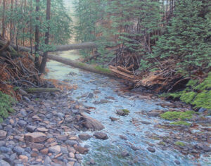 JANICE ANTHONY
Rocky Stream
acrylic on linen, 22 x 28 inches
$6200