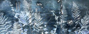 LISA TYSON ENNIS
The Will of the Wild Remains
unique cyanotype triptych on paper, museum acrylic
22 x 54 inches
$3800