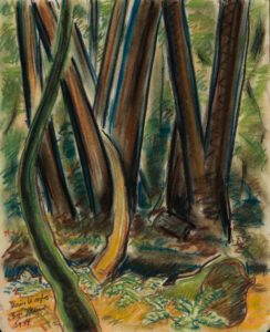WILLIAM MUIR
Muir Woods 
signed lower left, 1944
pastel on paper, 11 x 14 inches
$1200