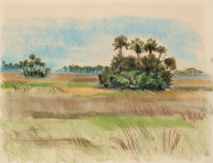 EMILY MUIR
Field with Palms
pastel on paper, 9 x 12 inches
$500