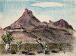 EMILY MUIR
Arizona I
pastel on paper, signed lower right
9 x 11 inches
$1400
