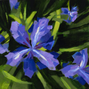 PHILIP FREY
Purple Irises
oil on canvas, 12 x 12 inches
SOLD
