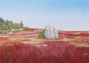 JANICE ANTHONY
Blueberry Field Erratic
acrylic on linen, 9 x 12 inches
$1900
