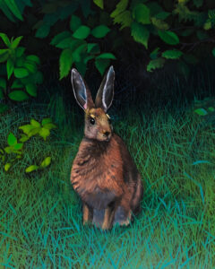 ED NADEAU
Nesowadnehunk Rabbit
oil on canvas, 30 x 24 inches
$3800