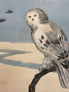 SUSAN AMONS
Snowy Owl II No. 1
monoprint with pastel, 20 x 20 inches
$800