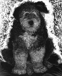 SIRI BECKMAN
Good Dog
wood engraving, 9 x 7.325, limited limited edition of 100
$650