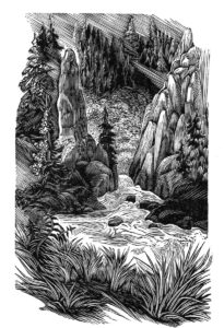 SIRI BECKMAN
Yellowstone
wood engraving, 4.25 x 2.5 inches
limited edition