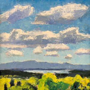 TOM CURRY
Camden Hills
oil on panel, 12 x 12 inches
$1400