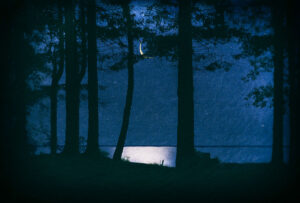 LILIAN DAY THORPE
Moon Through Trees II
photomontage, 27 x 40 inches
edition of 25
$2500