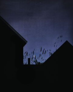 LILIAN DAY THORPE
Nightdraw
photomontage, 20 x 16 inches
edition of 25
$1200