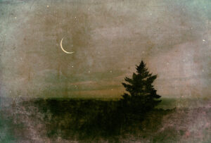 LILIAN DAY THORPE
Solstice
photomontage, 27 x 40 inches
edition of 15
$2500