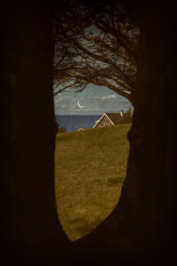 LILIAN DAY THORPE
Through the Trees
photomontage, 24 x 16 inches
edition of 25
$1200