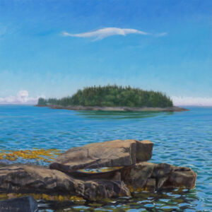 ARD BERGE
WINTER HARBOR
Habitat (Sea Turtle, Seal, Seabird)
oil on linen, 16 x 16 inches
$2200